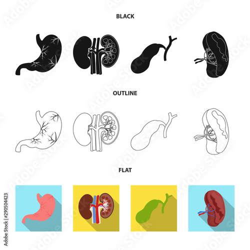 Isolated object of body and human logo. Set of body and medical stock vector illustration.