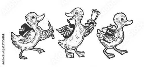 Cartoon ducklings pupils scholars sketch engraving vector illustration. Tee shirt apparel print design. Scratch board style imitation. Black and white hand drawn image.