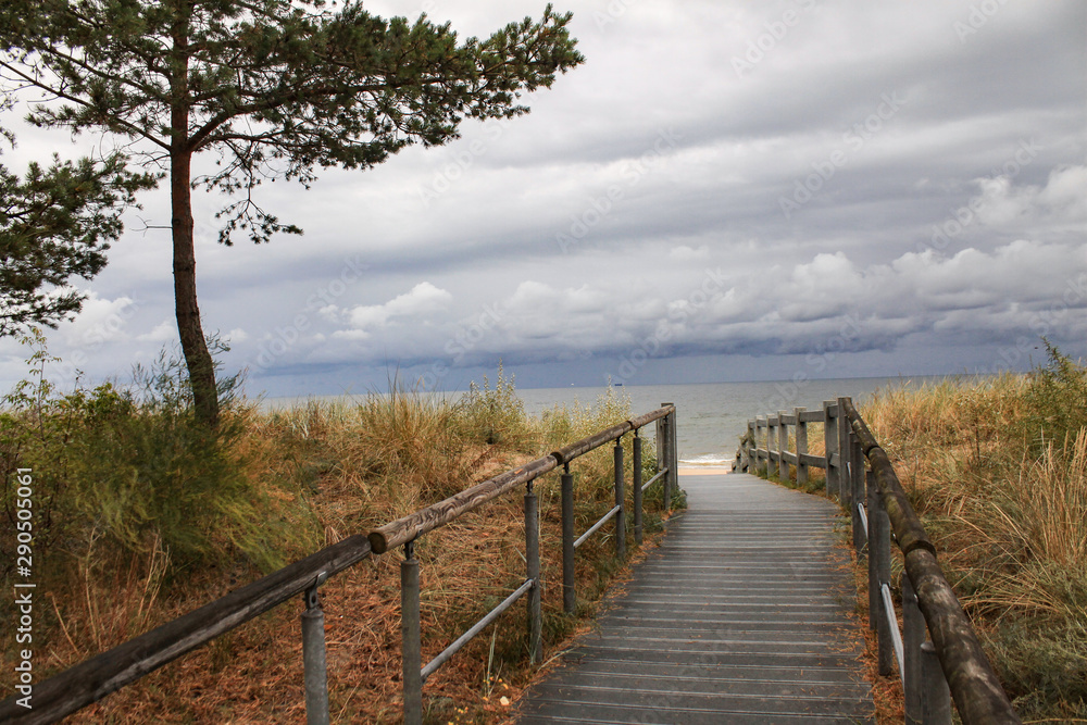 Obraz premium Dünenlandschaft an der Ostsee (Usedom)