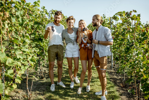 Obraz na plátně Group of a young friends tasting grapes on the vineyard, having fun while hangin