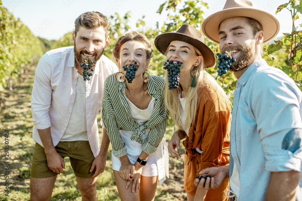 Portrait of a happy friends tasting grapes on the vineyard, having fun together at the winery on a sunny morning - obrazy, fototapety, plakaty 