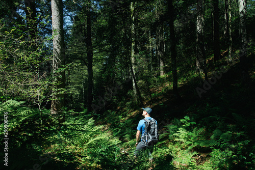Hiker With A Backpack Standing In A Forest.