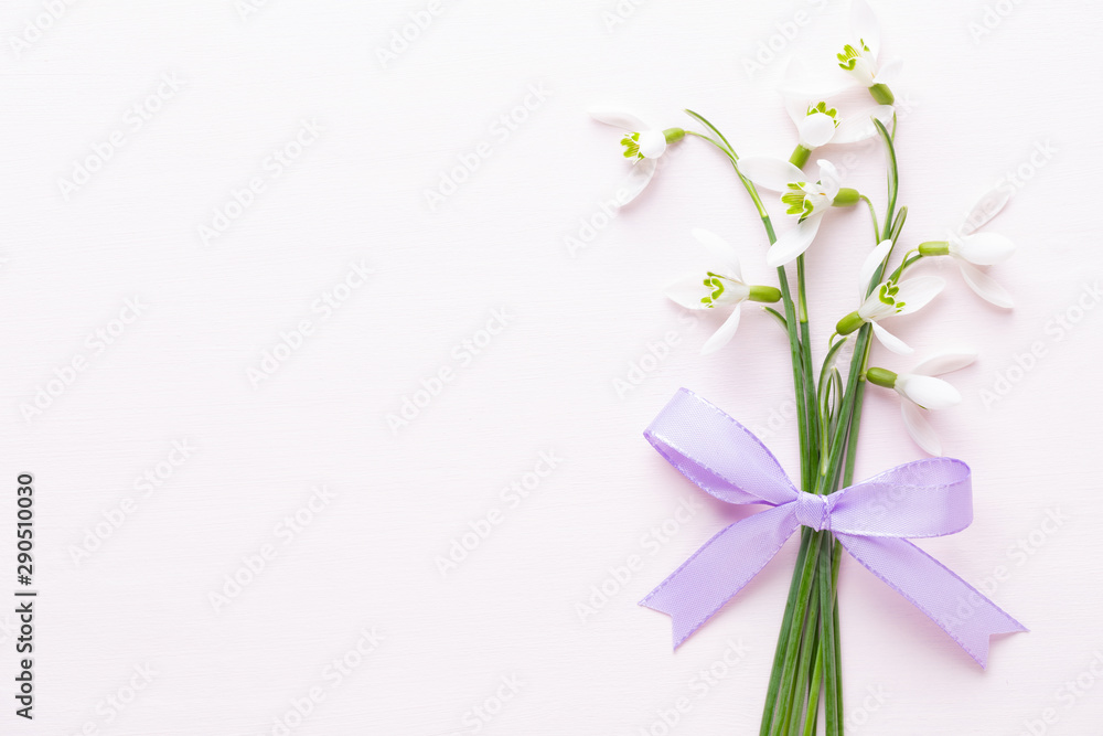 Fototapeta premium Fresh snowdrops on pink background with place for text. Spring greeting card.