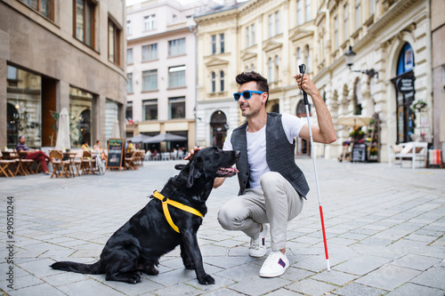 Konstfotografi Young blind man with white cane and guide dog on pedestrain zone in city