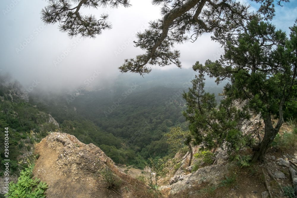 Crimean nature. Beautiful view on Yalta in Crimea. Mountains, sea and forest