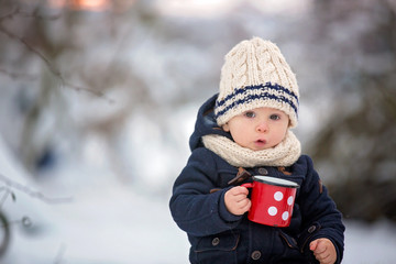 Sweet siblings, children having winter party in snowy forest.  Young brothers, boys, drinking tea from thermos. Hot drinks and beverage in cold weather