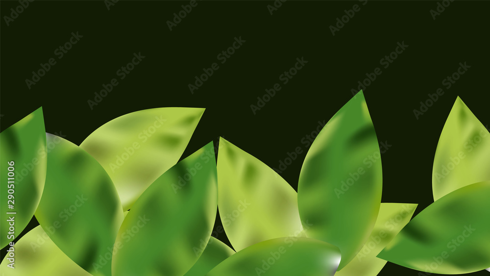 Obraz premium leaves background, leaves vector background, floral art vector, floral background, leaves illustration