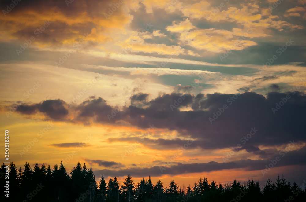 sunset over a coniferous forest