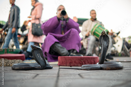 Moroccan Cobra enchanter sitting in the street with his cobra. Marrakesh, Jamma el fnaa photo