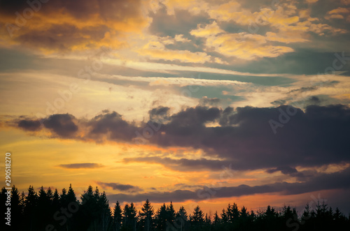sunset over a coniferous forest