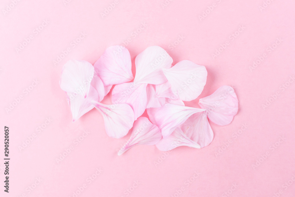 Pink geranium petals on a pink background. Stylish minimalistic image, flat lay, top view. The concept of Valentine's Day, Women's Day, romance, wedding. Place for text.