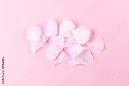 Pink geranium petals on a pink background. Stylish minimalistic image, flat lay, top view. The concept of Valentine's Day, Women's Day, romance, wedding. Place for text. © Ольга Холявина