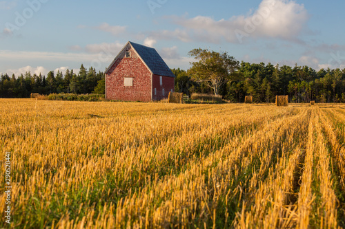 Old red barn in a field of cut hay.