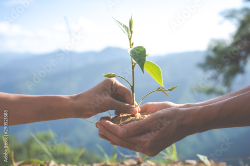 Concept of environmental conservation in the garden for children.