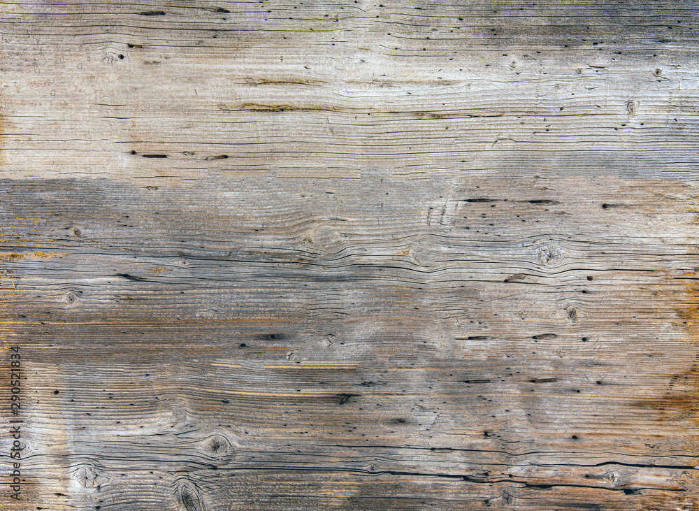 Fototapeta premium Wood texture as background