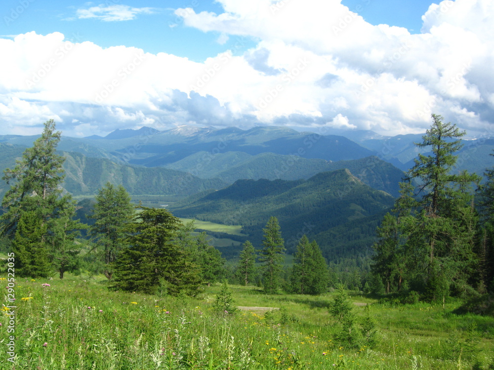 Fototapeta premium Красная гора. Усть-Коксинский район. Алтай