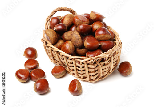 Sweet chestnut on white background