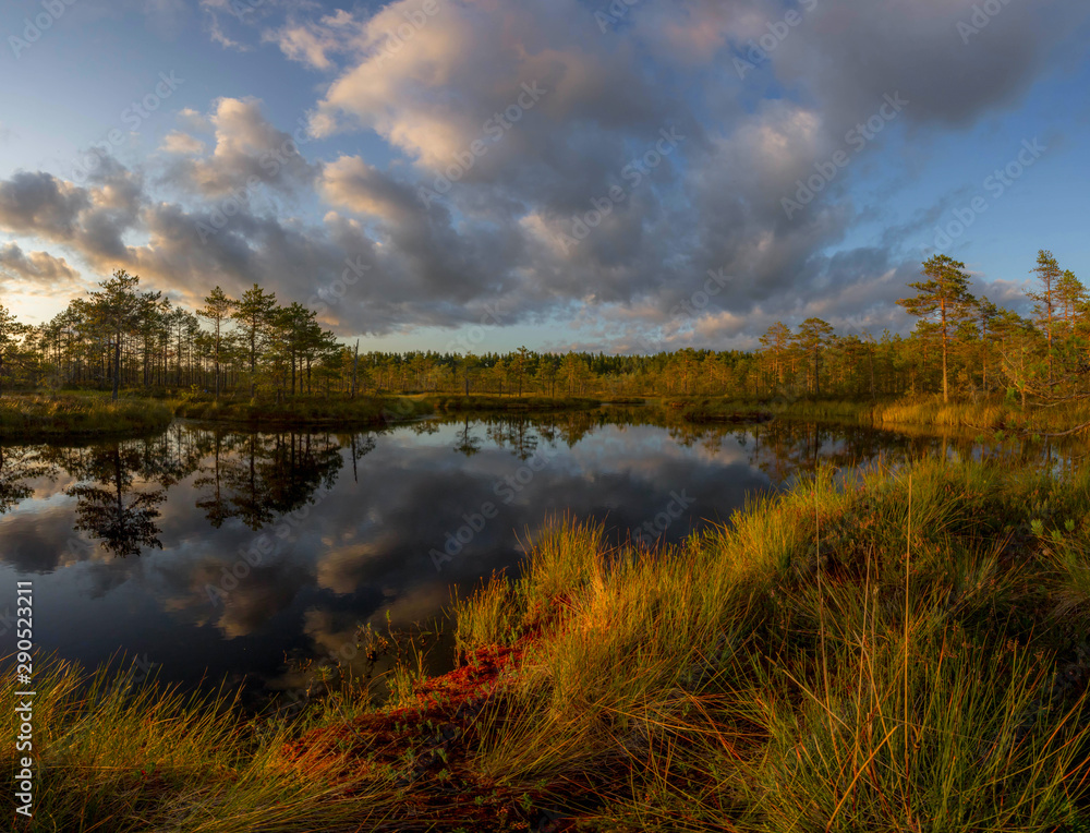 evening on the protected swamp. North of Leningrad region. Russia evening on the protected swamp. North of Leningrad region. Russia