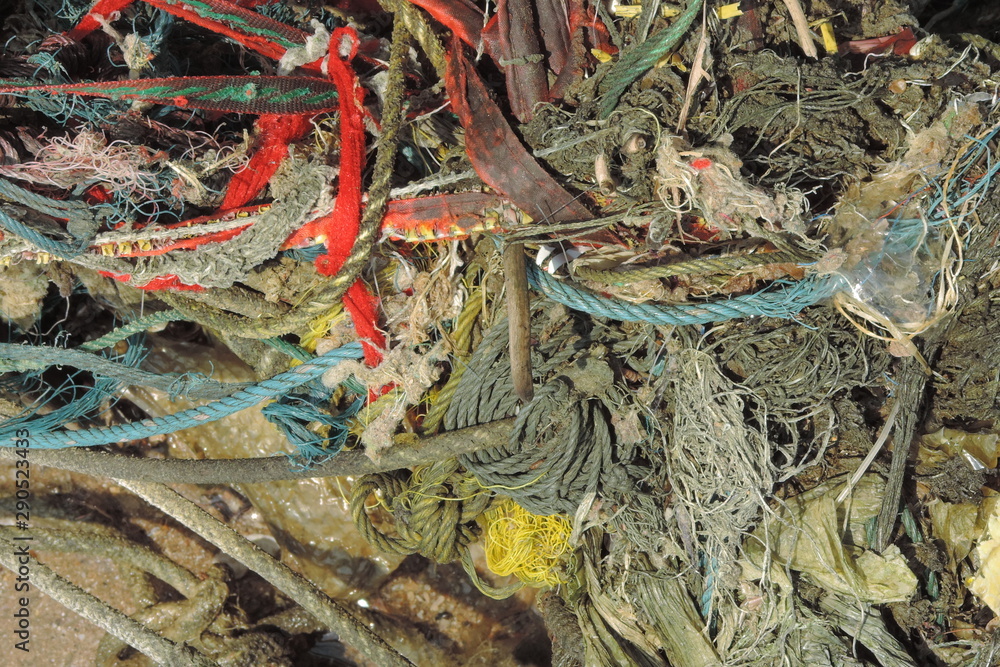 Fototapeta premium background