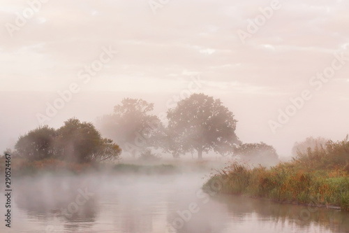 Misty autumn morning on river. Lone oak trees on meadow