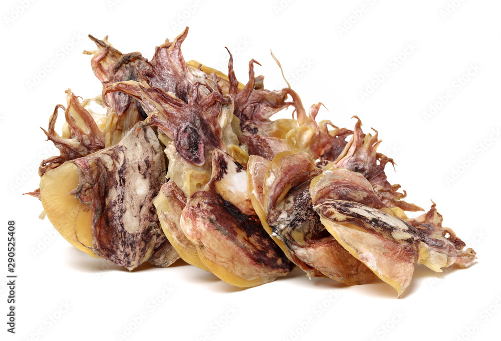 dry squids on white background dry squids on white background