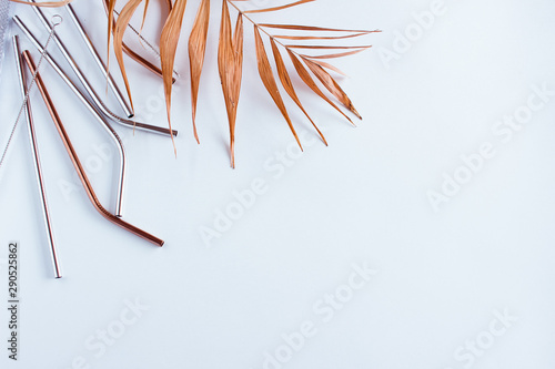 Metal straws and dry leaves on white background. Zero waste. Flat lay
