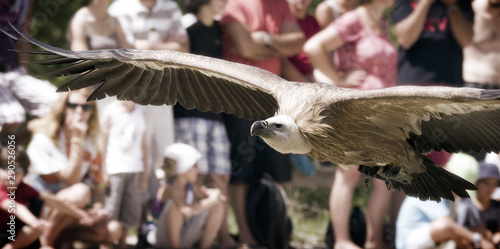 Rapace - 8