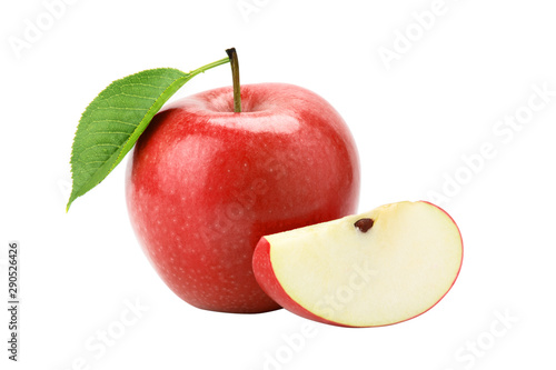  apple on a white background
