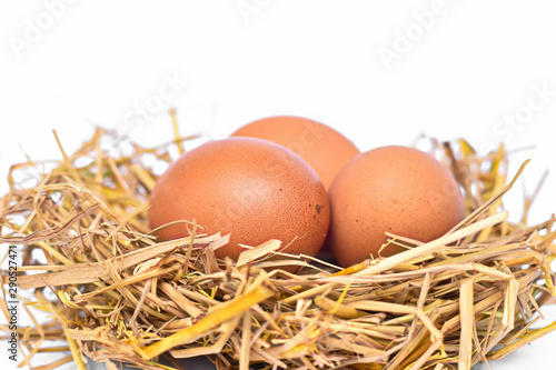 Chicken eggs in the nest, isolated on white background
