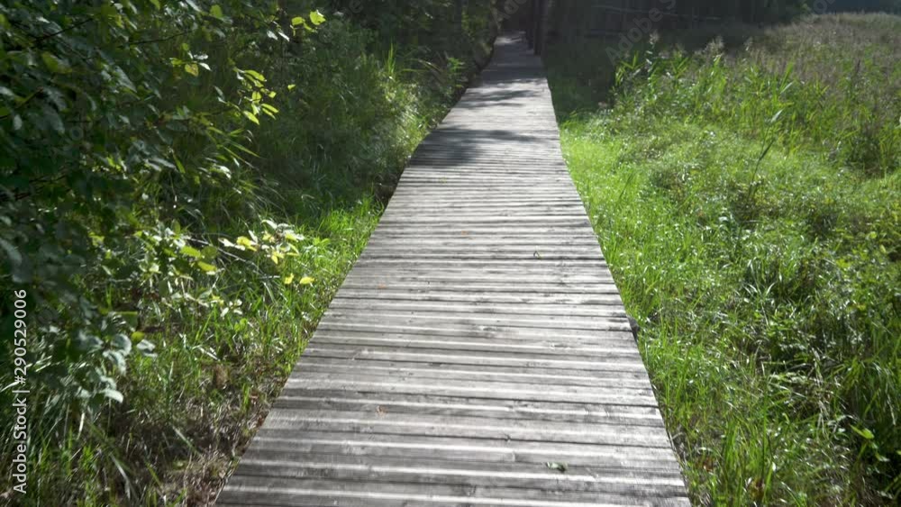 Wooden walking path for the passage of tourists along the green grass on the shore of Lake Valguma in summer in Latvia Wooden walking path for the passage of tourists along the green grass on the shore of Lake Valguma in summer in Latvia