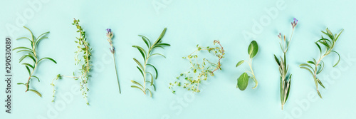 Culinary aromatic herbs on a teal blue background. Rosemary, thyme, lavender, sage, shot from above, a flat lay panorama