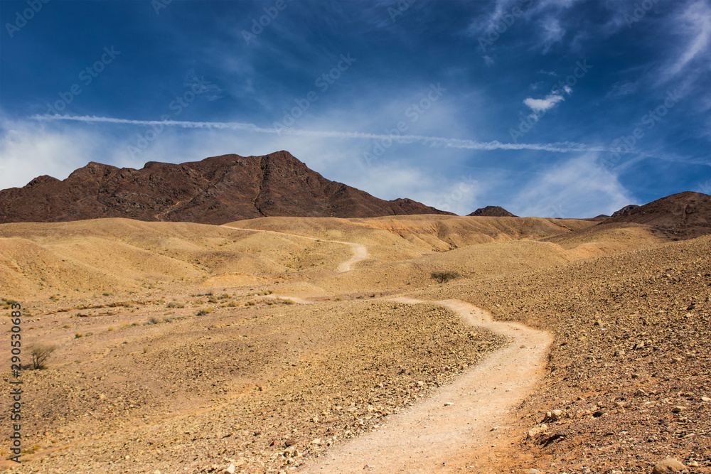 picturesque desert wasteland scenery landscape with valley and trail foreground and mountain ridge and vivid blue sky white cloud background 