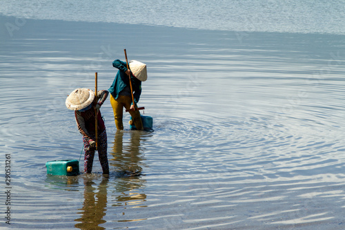 Women fishing for shellfish with rakes, Vietnam