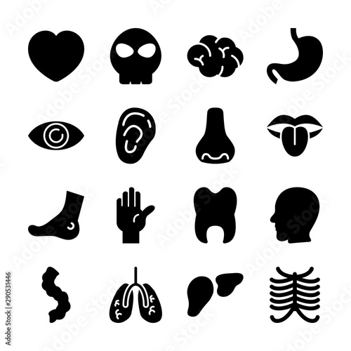 organ solid icons