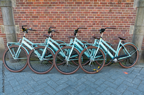 Bicycles Rental