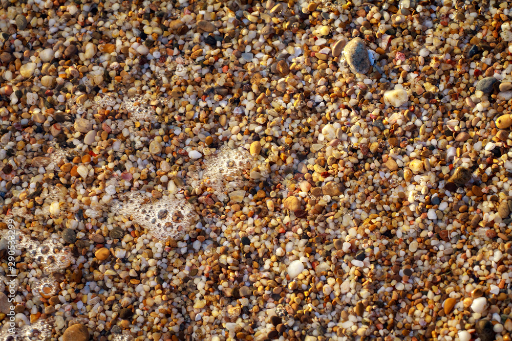 sea pebbles colored granite on the beach sea pebbles colored granite on the beach