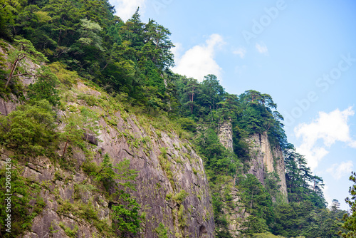 写真素材：面河渓谷、岩、面河、風景、空、緑
