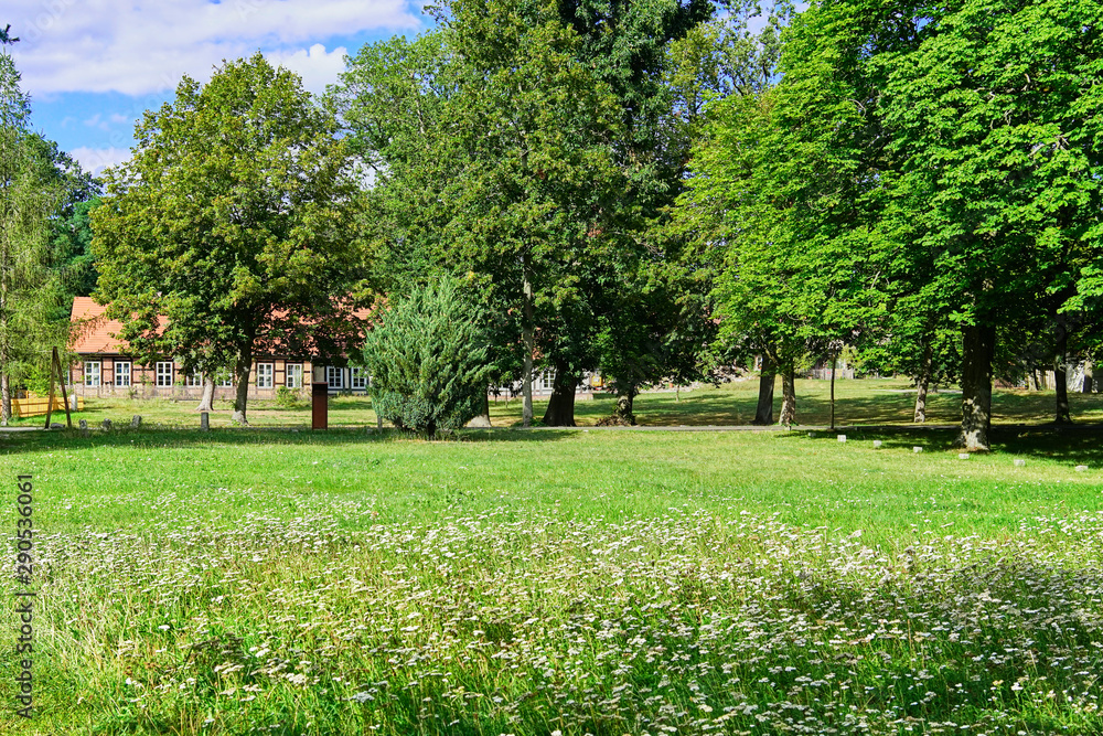 A green meadow with an old house behind the trees