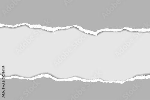 Ripped paper. Vector of ripped paper. The paper was ripped background.