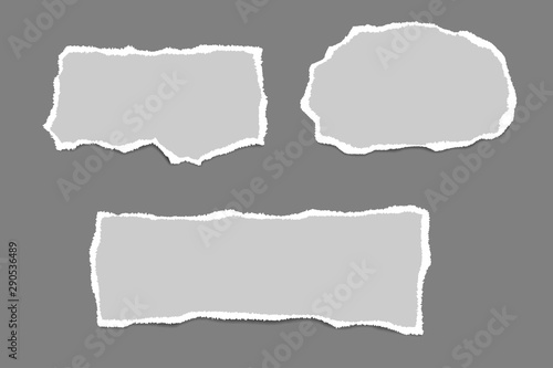 Ripped paper. Vector of ripped paper. The paper was ripped background.