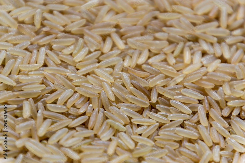 Raw long uncooked brown rice grains background Raw long uncooked brown rice grains background