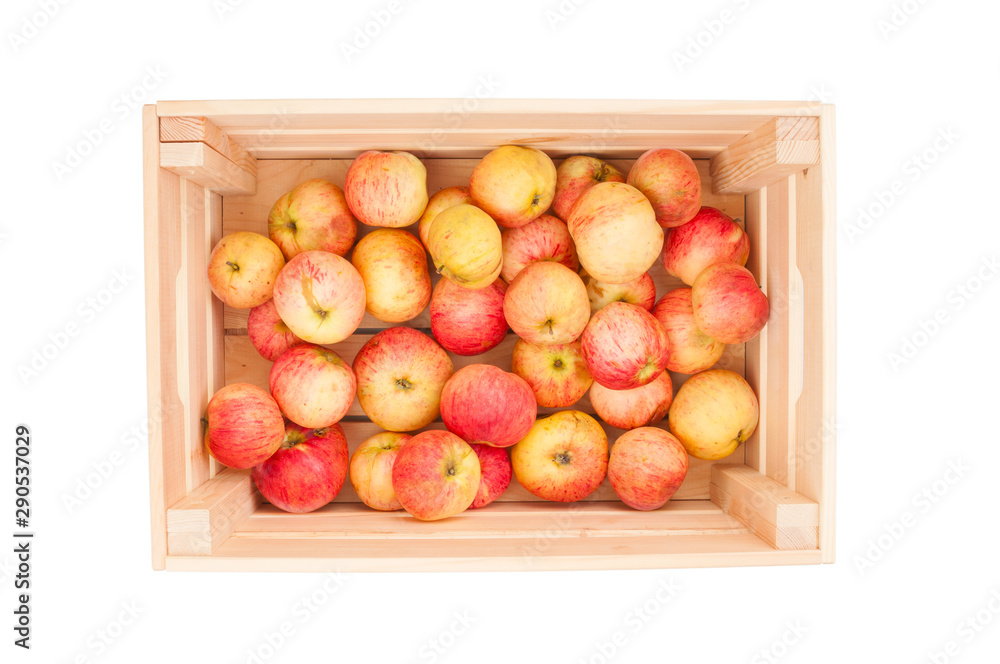Fresh organic apples in wooden crate isolated on white background Fresh organic apples in wooden crate isolated on white background