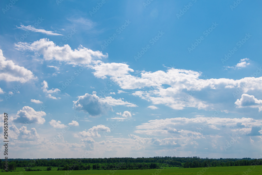 The sky with fluffy clouds in Sunny weather over green a glade The sky with fluffy clouds in Sunny weather over green a glade