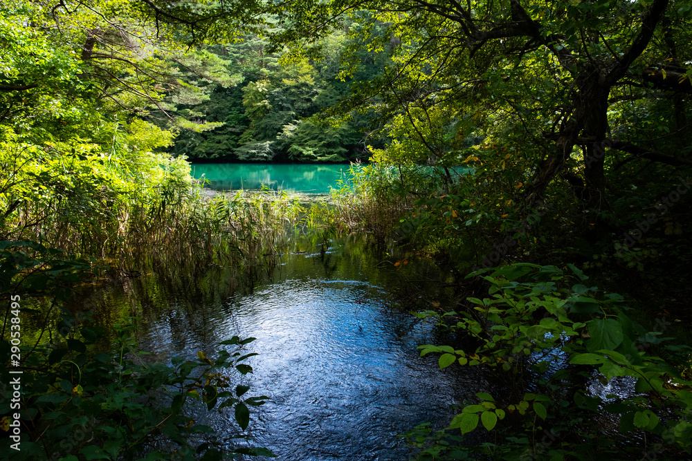 Obraz premium 五色沼湖沼群