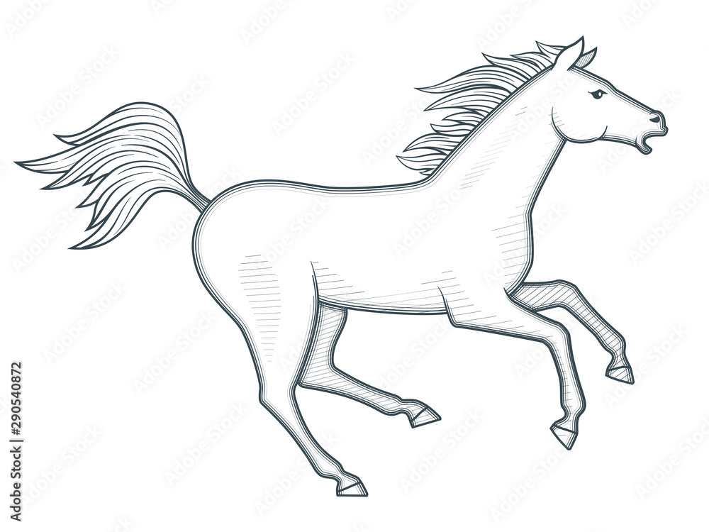 Galloping horse vector illustration