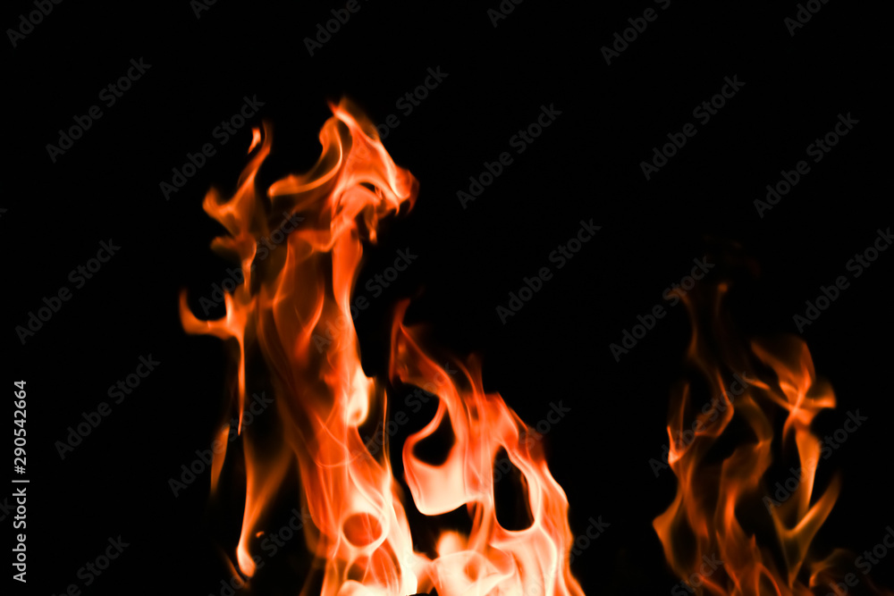 Fototapeta premium Fire flames on black background