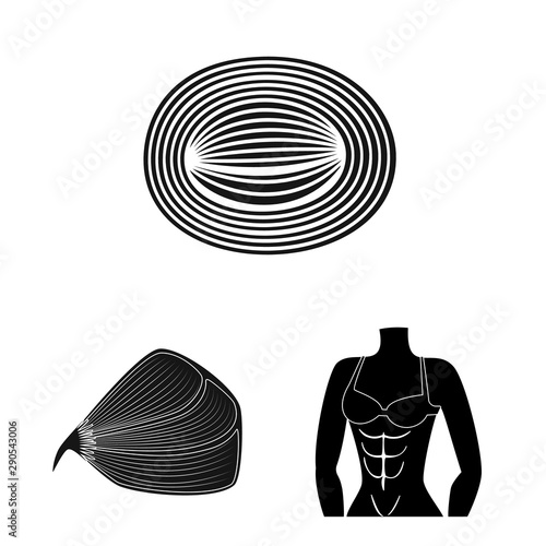 Vector illustration of human and body sign. Set of human and cells stock vector illustration.