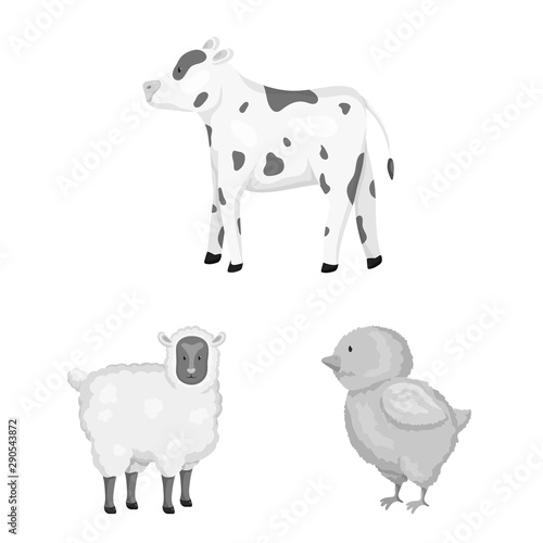 Vector illustration of homestead and agriculture icon. Collection of homestead and kitchen stock symbol for web.