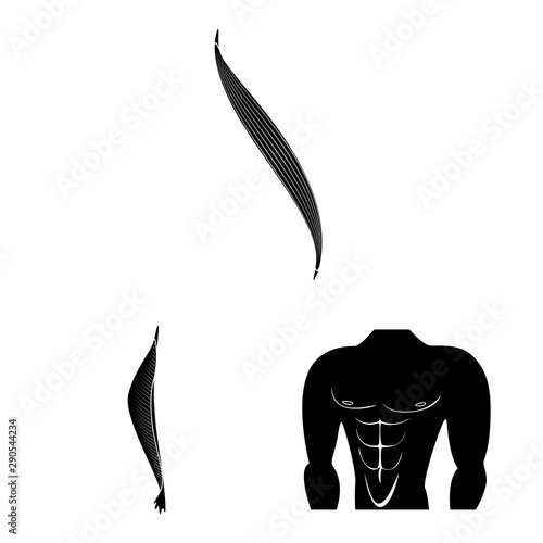 Vector illustration of human and body icon. Collection of human and cells stock symbol for web.