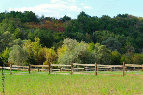 Beautiful rural landscape. Beautiful nature background. Paddocks for horses . Stable, forest, field.